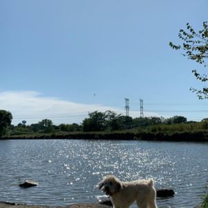 Meet your Posher, Maddy